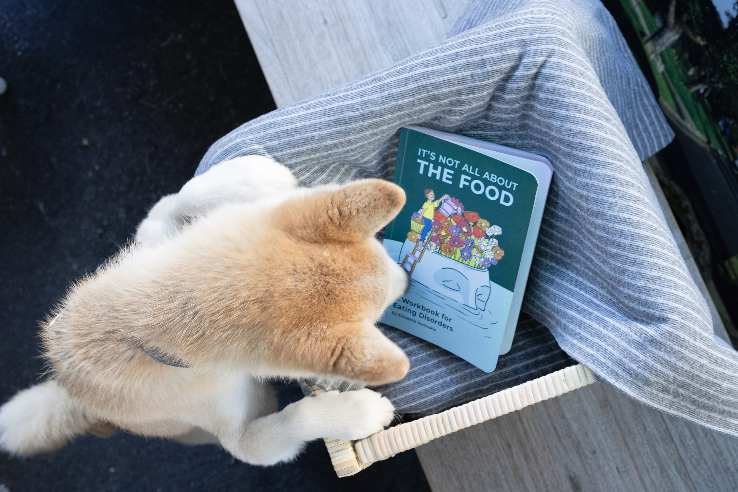 It's Not All About The Food: A Workbook for Eating Disorders - Image 3